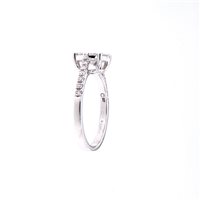 Anello Crivelli Donna in Oro bianco Diamante 0.5 Ct 234-3830-30 - 234-3830-30